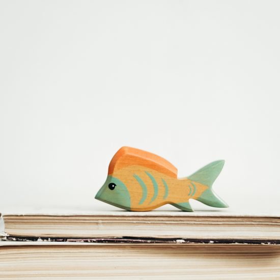 giocattoli pesce di legno