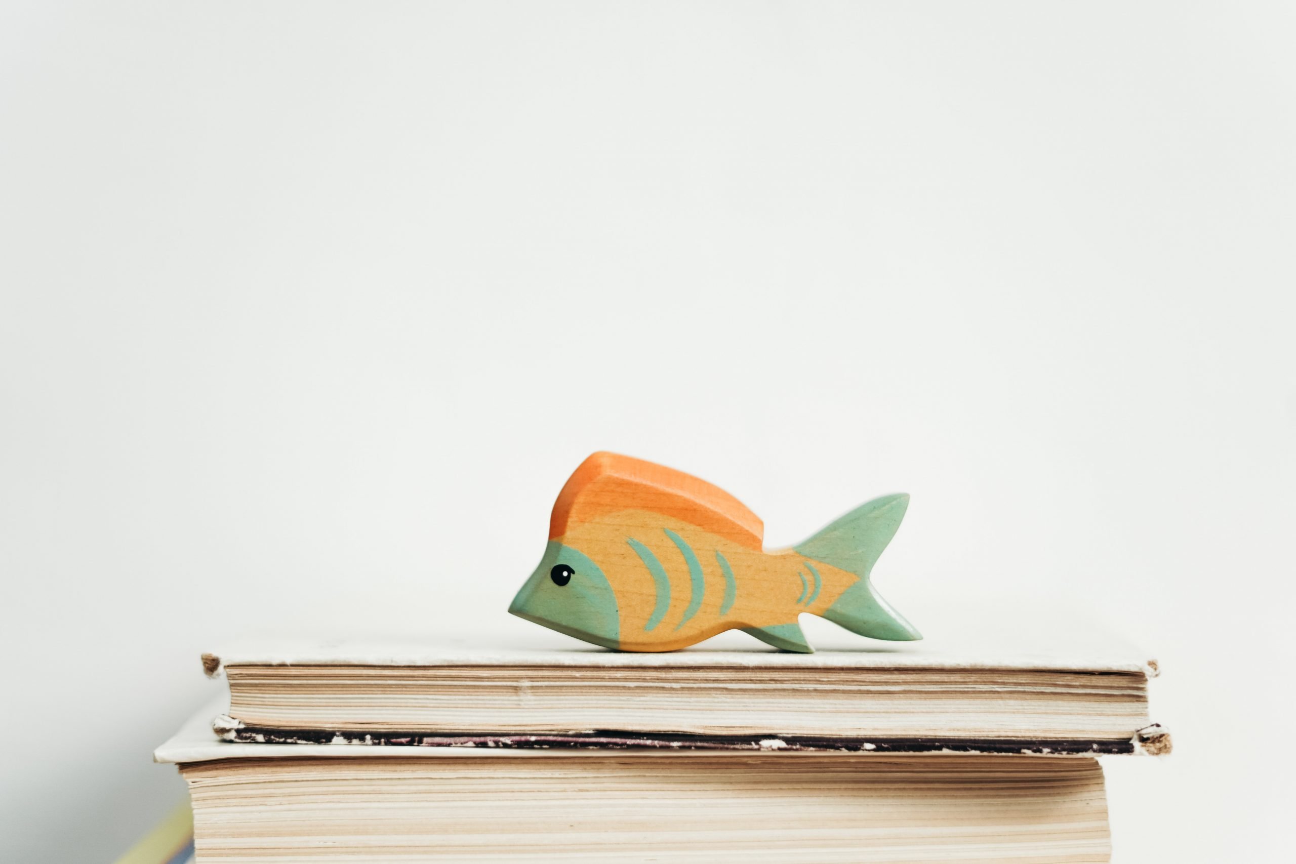 giocattoli pesce di legno
